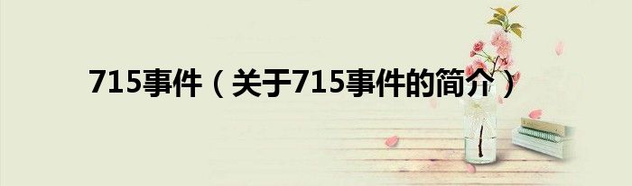 715事件（關(guān)于715事件的簡介）