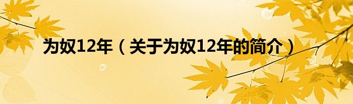 為奴12年（關(guān)于為奴12年的簡介）