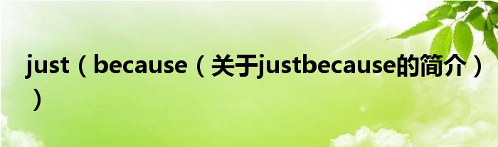 just（because（關(guān)于justbecause的簡(jiǎn)介））