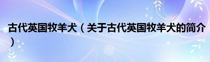 古代英國(guó)牧羊犬（關(guān)于古代英國(guó)牧羊犬的簡(jiǎn)介）