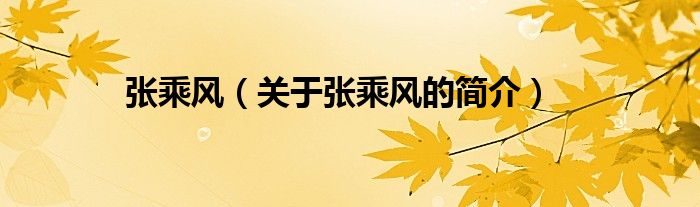 張乘風(fēng)（關(guān)于張乘風(fēng)的簡(jiǎn)介）