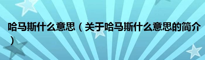 哈馬斯什么意思（關(guān)于哈馬斯什么意思的簡介）