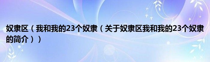 奴隸區(qū)（我和我的23個奴隸（關(guān)于奴隸區(qū)我和我的23個奴隸的簡介））