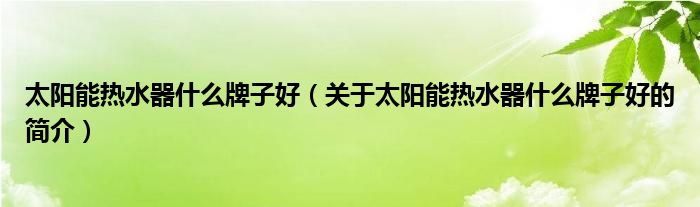 太陽能熱水器什么牌子好（關于太陽能熱水器什么牌子好的簡介）