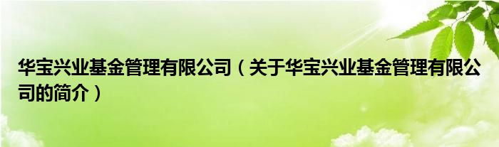 華寶興業(yè)基金管理有限公司（關(guān)于華寶興業(yè)基金管理有限公司的簡介）