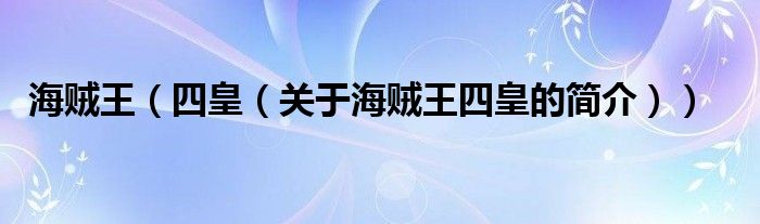 海賊王（四皇（關(guān)于海賊王四皇的簡(jiǎn)介））