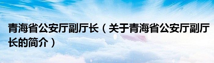 青海省公安廳副廳長（關(guān)于青海省公安廳副廳長的簡介）