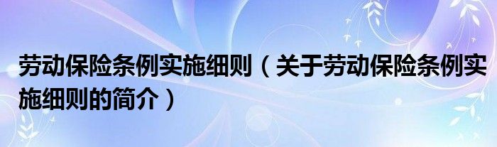 勞動保險條例實施細則（關(guān)于勞動保險條例實施細則的簡介）