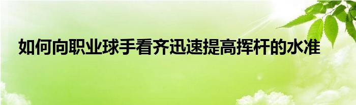 如何向職業(yè)球手看齊迅速提高揮桿的水準(zhǔn)