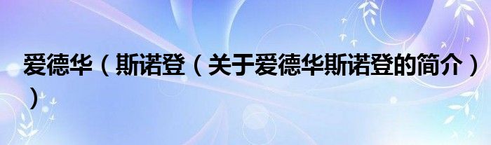 愛德華（斯諾登（關(guān)于愛德華斯諾登的簡(jiǎn)介））