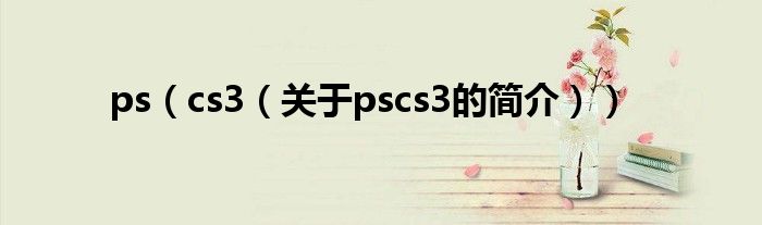 ps（cs3（關于pscs3的簡介））