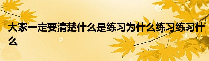 大家一定要清楚什么是練習(xí)為什么練習(xí)練習(xí)什么