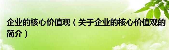 企業(yè)的核心價值觀（關(guān)于企業(yè)的核心價值觀的簡介）