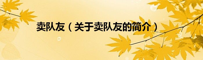 賣隊(duì)友（關(guān)于賣隊(duì)友的簡(jiǎn)介）