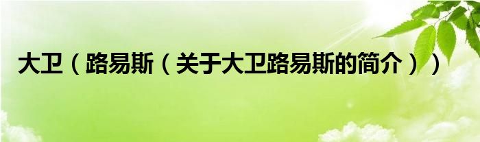 大衛(wèi)（路易斯（關于大衛(wèi)路易斯的簡介））