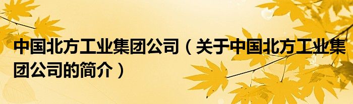 中國北方工業(yè)集團公司（關(guān)于中國北方工業(yè)集團公司的簡介）