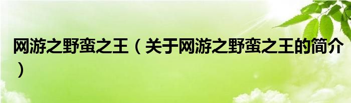 網(wǎng)游之野蠻之王（關(guān)于網(wǎng)游之野蠻之王的簡介）