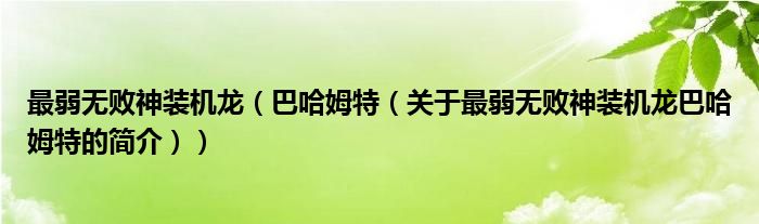 最弱無敗神裝機(jī)龍（巴哈姆特（關(guān)于最弱無敗神裝機(jī)龍巴哈姆特的簡(jiǎn)介））