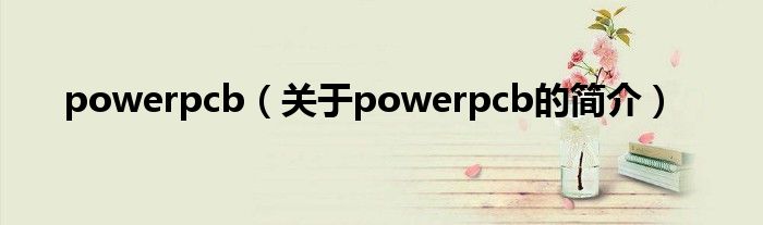 powerpcb（關(guān)于powerpcb的簡介）