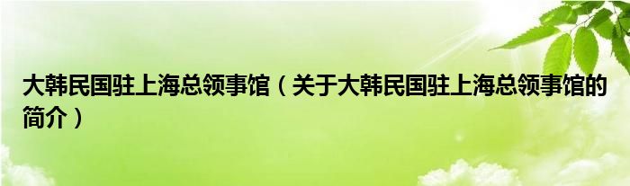 大韓民國駐上?？傤I事館（關于大韓民國駐上海總領事館的簡介）