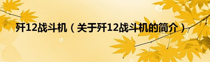 殲12戰(zhàn)斗機（關(guān)于殲12戰(zhàn)斗機的簡介）