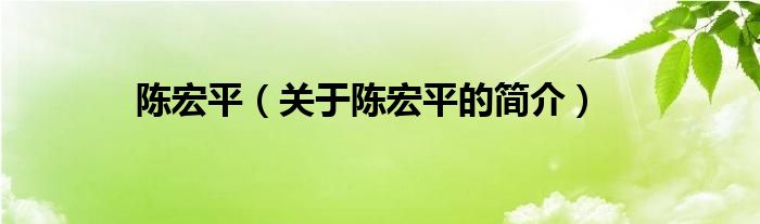 陳宏平（關(guān)于陳宏平的簡(jiǎn)介）