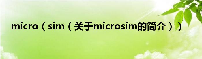 micro（sim（關(guān)于microsim的簡(jiǎn)介））