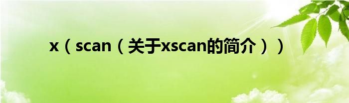 x（scan（關于xscan的簡介））