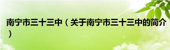 南寧市三十三中（關(guān)于南寧市三十三中的簡介）