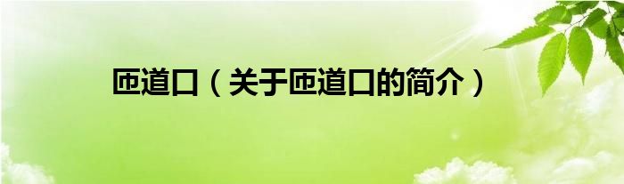 匝道口（關(guān)于匝道口的簡(jiǎn)介）