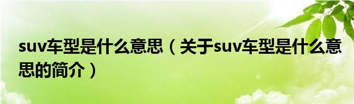 suv車(chē)型是什么意思（關(guān)于suv車(chē)型是什么意思的簡(jiǎn)介）