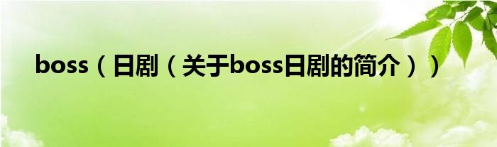 boss（日?。P(guān)于boss日劇的簡介））