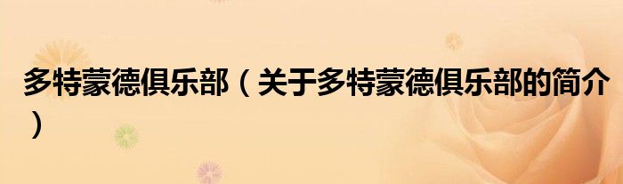 多特蒙德俱樂(lè)部（關(guān)于多特蒙德俱樂(lè)部的簡(jiǎn)介）