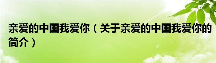 親愛的中國我愛你（關于親愛的中國我愛你的簡介）