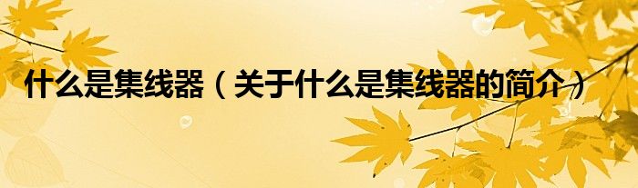 什么是集線器（關(guān)于什么是集線器的簡(jiǎn)介）