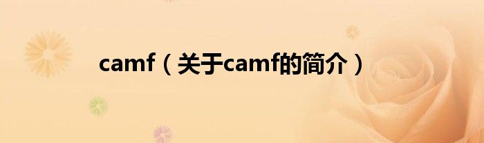 camf（關(guān)于camf的簡(jiǎn)介）