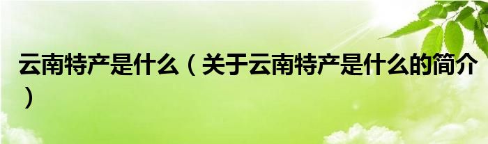 云南特產(chǎn)是什么（關(guān)于云南特產(chǎn)是什么的簡介）