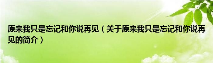 原來我只是忘記和你說再見（關(guān)于原來我只是忘記和你說再見的簡介）