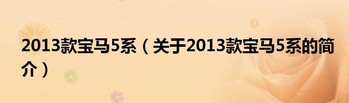 2013款寶馬5系（關(guān)于2013款寶馬5系的簡介）