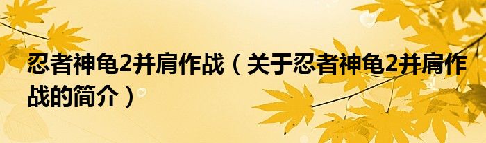 忍者神龜2并肩作戰(zhàn)（關(guān)于忍者神龜2并肩作戰(zhàn)的簡(jiǎn)介）