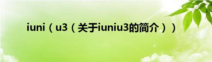 iuni（u3（關于iuniu3的簡介））