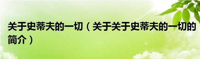 關(guān)于史蒂夫的一切（關(guān)于關(guān)于史蒂夫的一切的簡(jiǎn)介）