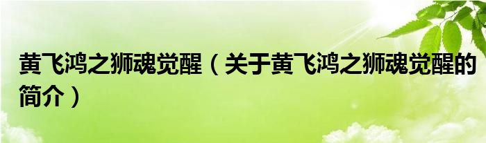 黃飛鴻之獅魂覺(jué)醒（關(guān)于黃飛鴻之獅魂覺(jué)醒的簡(jiǎn)介）