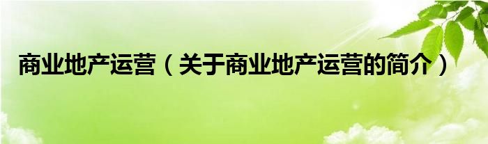 商業(yè)地產(chǎn)運營（關(guān)于商業(yè)地產(chǎn)運營的簡介）