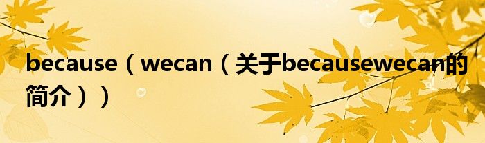 because（wecan（關(guān)于becausewecan的簡介））