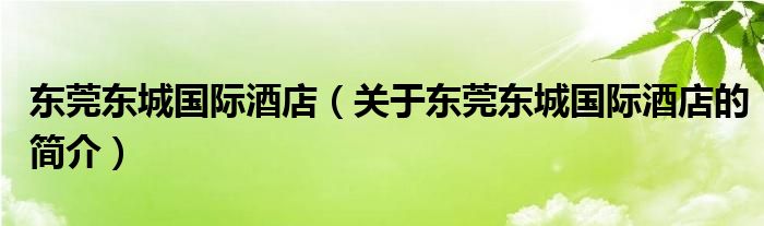 東莞東城國際酒店（關于東莞東城國際酒店的簡介）