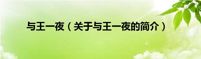 與王一夜（關(guān)于與王一夜的簡介）