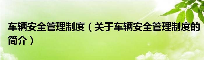 車輛安全管理制度（關(guān)于車輛安全管理制度的簡介）