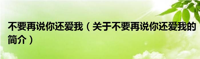 不要再說(shuō)你還愛我（關(guān)于不要再說(shuō)你還愛我的簡(jiǎn)介）