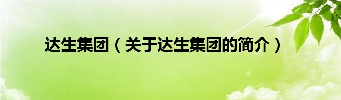 達(dá)生集團(tuán)（關(guān)于達(dá)生集團(tuán)的簡(jiǎn)介）